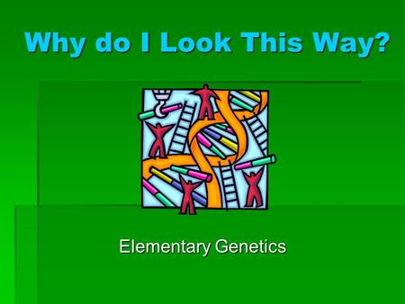 Why do I Look This Way? Elementary Genetics. Chromosomes Chromosomes carry the genetic information of the individual. Each chromosome is made of a single.