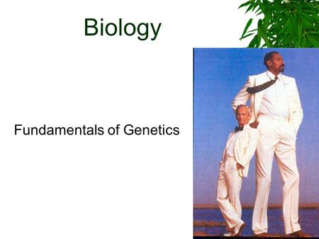 Biology Fundamentals of Genetics. Gregor Mendel  Father of genetics  Monk  Austrian  Gardener  Mathematician Gregor Mendel.