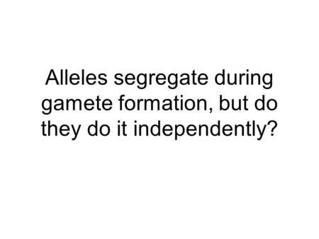 Alleles segregate during gamete formation, but do they do it independently?