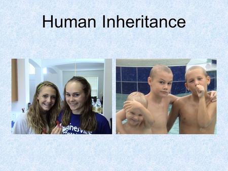 Human Inheritance. Single Gene Traits Many Human traits are controlled by a single gene with one dominant and one recessive allele This yields two distinct.