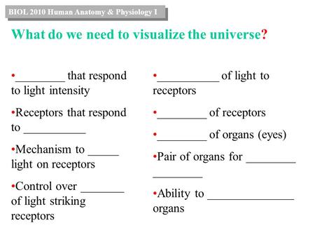 What do we need to visualize the universe? ________ that respond to light intensity Receptors that respond to __________ Mechanism to _____ light on receptors.