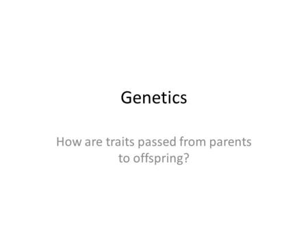 Genetics How are traits passed from parents to offspring?