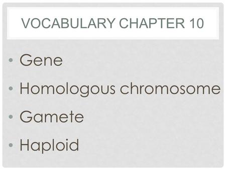 VOCABULARY CHAPTER 10 Gene Homologous chromosome Gamete Haploid.