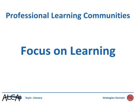 Professional Learning Communities Focus on Learning Topic: LiteracyStrategies Domain.