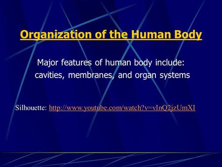 Organization of the Human Body Major features of human body include: cavities, membranes, and organ systems Silhouette: