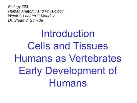 Biology 223 Human Anatomy and Physiology Week 1; Lecture 1; Monday Dr. Stuart S. Sumida Introduction Cells and Tissues Humans as Vertebrates Early Development.