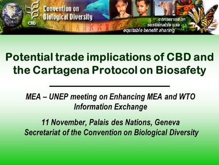 Potential trade implications of CBD and the Cartagena Protocol on Biosafety MEA – UNEP meeting on Enhancing MEA and WTO Information Exchange 11 November,