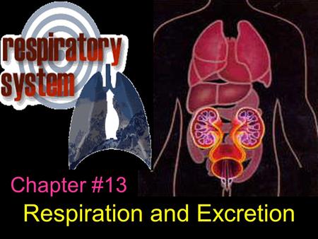 Respiration and Excretion