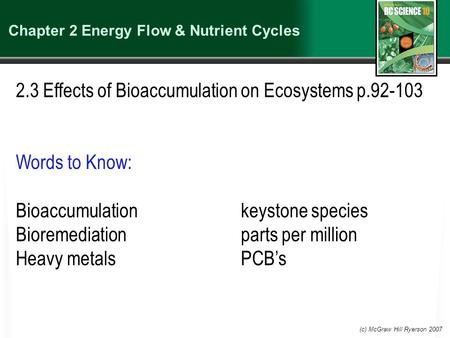 (c) McGraw Hill Ryerson 2007 Chapter 2 Energy Flow & Nutrient Cycles 2.3 Effects of Bioaccumulation on Ecosystems p.92-103 Words to Know: Bioaccumulationkeystone.