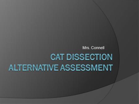 Mrs. Connell. Assignment: Part 1  You must construct a PowerPoint presentation for each day that you have missed for the cat dissection.  Your presentation.