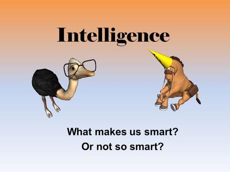 Intelligence What makes us smart? Or not so smart?