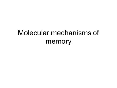 Molecular mechanisms of memory. How does the brain achieve Hebbian plasticity? How is the co-activity of presynaptic and postsynaptic cells registered.