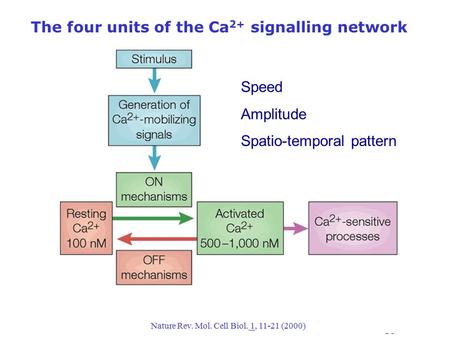 The four units of the Ca 2+ signalling network Nature Rev. Mol. Cell Biol. 1, 11-21 (2000) Speed Amplitude Spatio-temporal pattern.