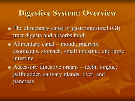 Digestive System: Overview The alimentary canal or gastrointestinal (GI) tract digests and absorbs food The alimentary canal or gastrointestinal (GI) tract.