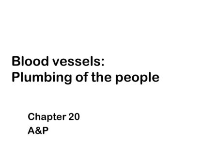 Blood vessels: Plumbing of the people Chapter 20 A&P.