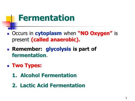 1 Fermentation “NO Oxygen” (called anaerobic). Occurs in cytoplasm when “NO Oxygen” is present (called anaerobic). glycolysis fermentation Remember: glycolysis.