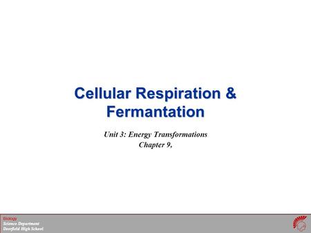 Cellular Respiration & Fermantation