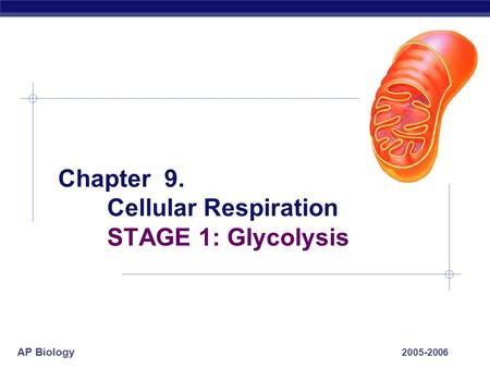 AP Biology 2005-2006 Chapter 9. Cellular Respiration STAGE 1: Glycolysis.