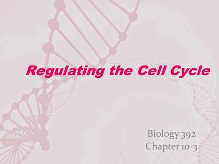 Regulating the Cell Cycle Biology 392 Chapter 10-3.