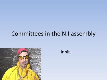 Committees in the N.I assembly Innit.. So Ted, what are committees? Well Dougal, a committee is simply a group of around 11 MLA’s They are designated.