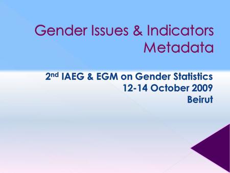  Strategic Objective K.2: Integrate gender concerns and perspectives in policies and programmes for sustainable development.
