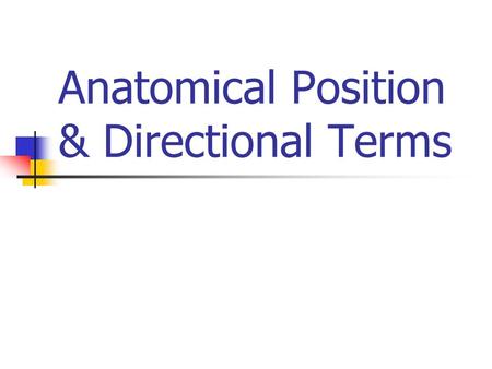 Anatomical Position & Directional Terms