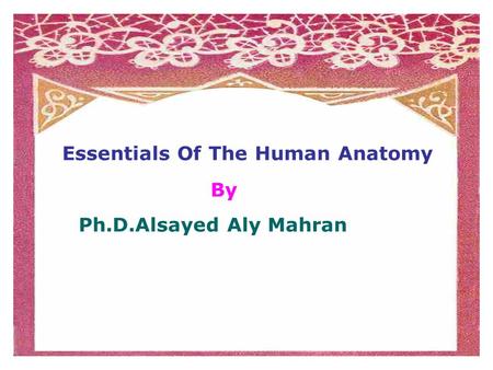 Essentials Of The Human Anatomy By Ph.D.Alsayed Aly Mahran.