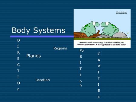 Body Systems Planes Regions CAVITIEsCAVITIEs Location DIRECTIOnDIRECTIOn Po S I T I o n.
