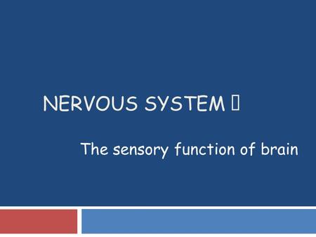 The sensory function of brain