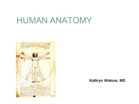 HUMAN ANATOMY Kathryn Watson, MD.
