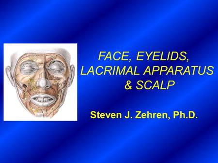 FACE, EYELIDS, LACRIMAL APPARATUS & SCALP Steven J. Zehren, Ph.D.
