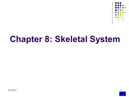 10/11/20151 Chapter 8: Skeletal System. 10/11/20152 INTRODUCTION Skeletal tissues form bones—the organs of the skeletal system The relations of bones.