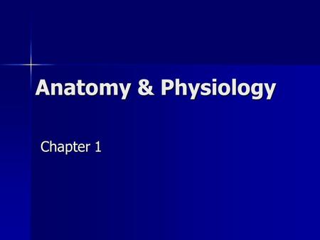 Anatomy & Physiology Chapter 1. A & P Anatomy - study of structure Anatomy - study of structure Physiology - study of function Physiology - study of function.