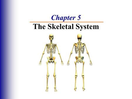 Chapter 5 The Skeletal System. The Skeletal System Parts of the skeletal system  Bones (skeleton)  Joints  Cartilages  Ligaments Divided into 2 divisions.
