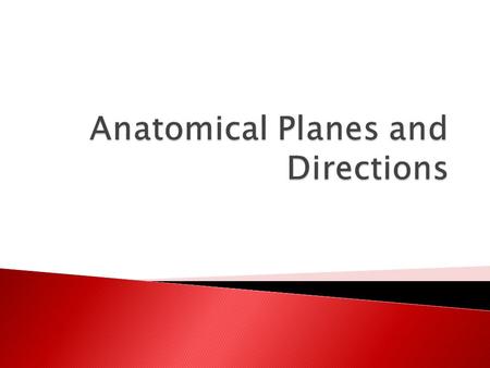 Anatomical Planes and Directions