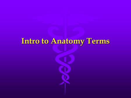Intro to Anatomy Terms. Body Planes and Positions Designed to improve communication between all medical fields.Designed to improve communication between.