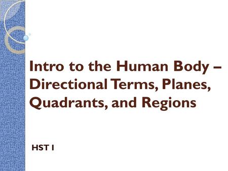 Intro to the Human Body – Directional Terms, Planes, Quadrants, and Regions HST I.