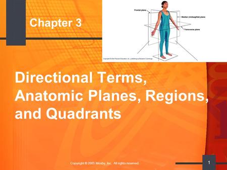 Copyright © 2005 Mosby, Inc. All rights reserved. 1 Chapter 3 Directional Terms, Anatomic Planes, Regions, and Quadrants.