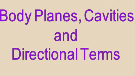 Body Planes, Cavities and Directional Terms