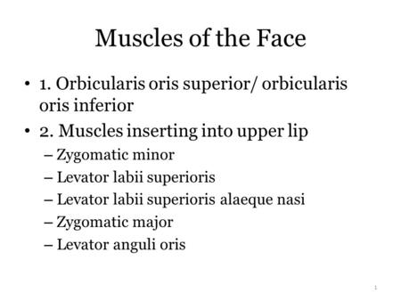 Muscles of the Face 1. Orbicularis oris superior/ orbicularis oris inferior 2. Muscles inserting into upper lip Zygomatic minor Levator labii superioris.