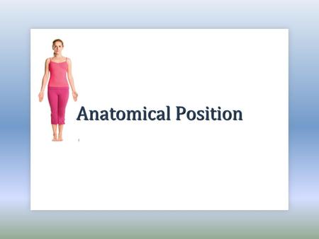 Anatomical Position.