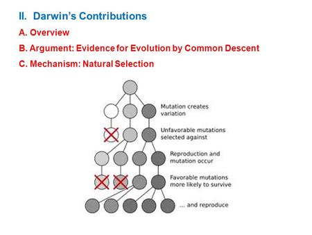II. Darwin’s Contributions A. Overview B. Argument: Evidence for Evolution by Common Descent C. Mechanism: Natural Selection.