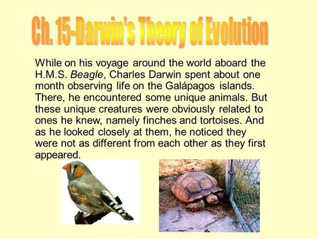 While on his voyage around the world aboard the H.M.S. Beagle, Charles Darwin spent about one month observing life on the Galápagos islands. There, he.