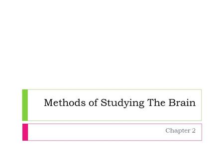 Methods of Studying The Brain