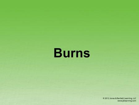 Burns. Types of Burns Thermal (heat) burns Chemical burns Electrical burns © Scott Camazine/Photo Researchers, Inc.