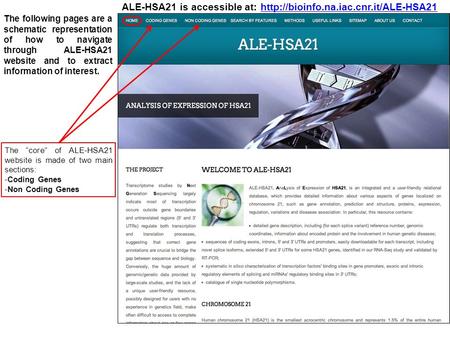 is accessible at: The following pages are a schematic representation of how to navigate through ALE-HSA21.