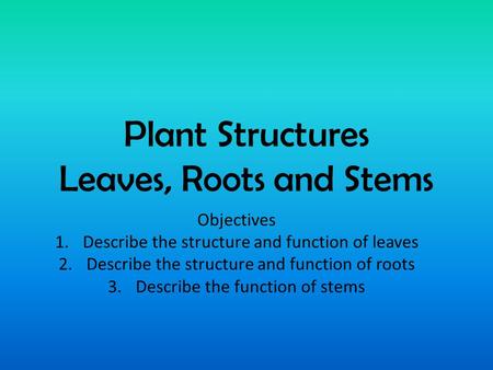 Plant Structures Leaves, Roots and Stems Objectives 1.Describe the structure and function of leaves 2.Describe the structure and function of roots 3.Describe.