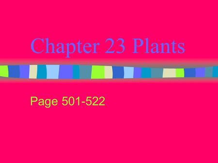 Chapter 23 Plants Page 501-522. Adaptations of Plants Absorbing nutrients Preventing water loss Reproducing on land.