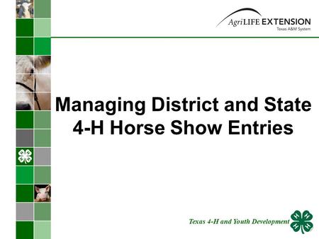 Managing District and State 4-H Horse Show Entries Texas 4-H and Youth Development.