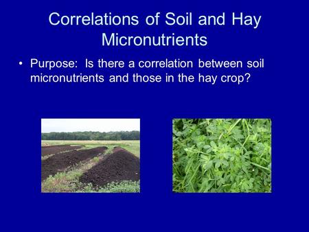 Correlations of Soil and Hay Micronutrients Purpose: Is there a correlation between soil micronutrients and those in the hay crop?